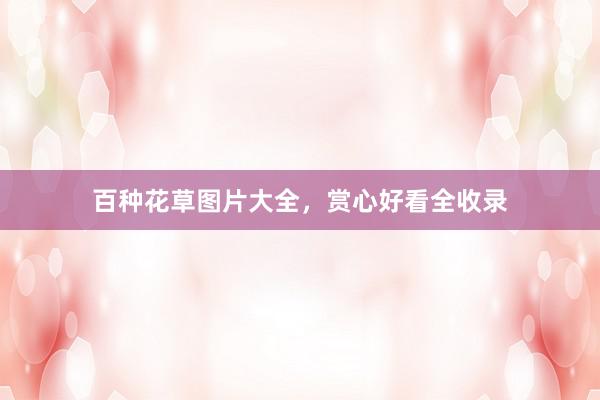百种花草图片大全，赏心好看全收录
