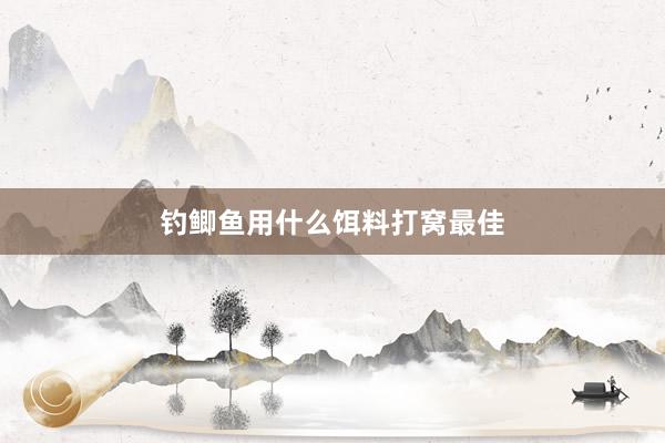 钓鲫鱼用什么饵料打窝最佳