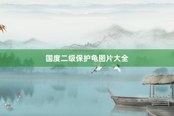 国度二级保护龟图片大全